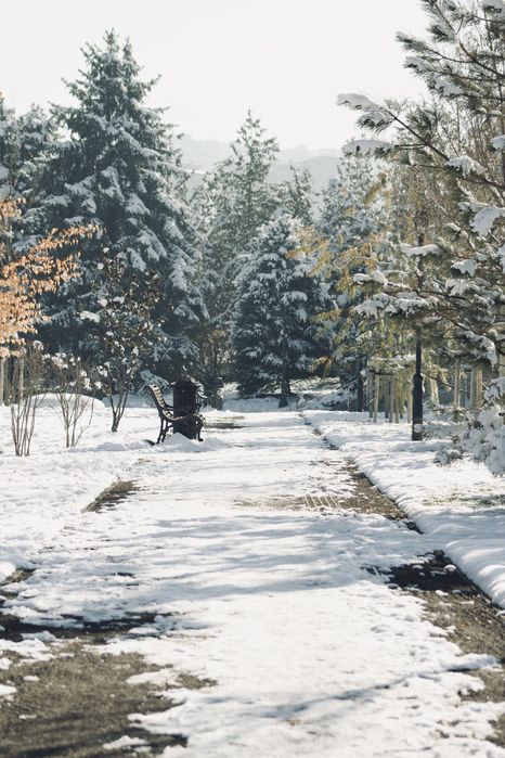 Canon zoom lens ef 50mm