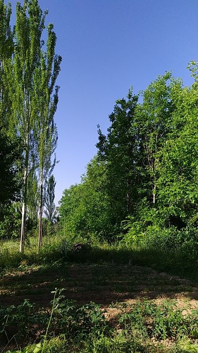 Ер участкаси сотилади