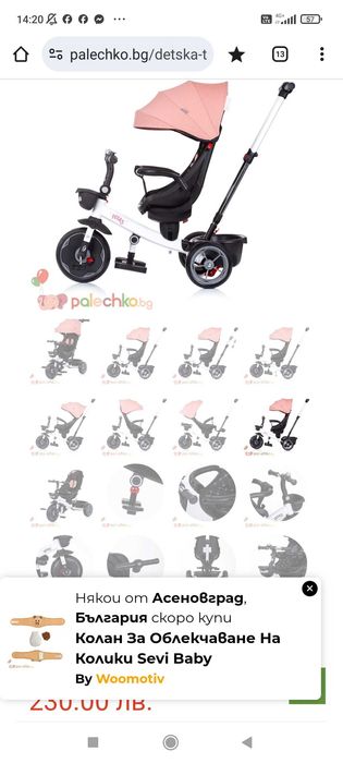 Триколка Чиполино Пегас