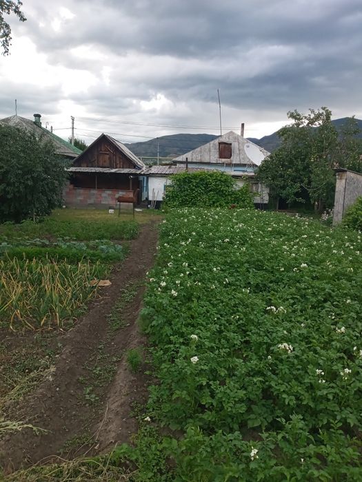 Продам дом, Пушкина 55