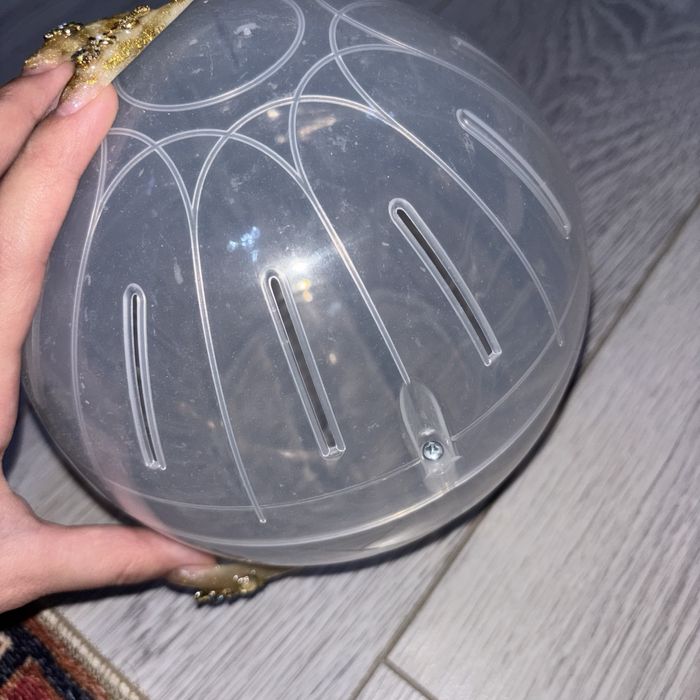 шар для грызунов