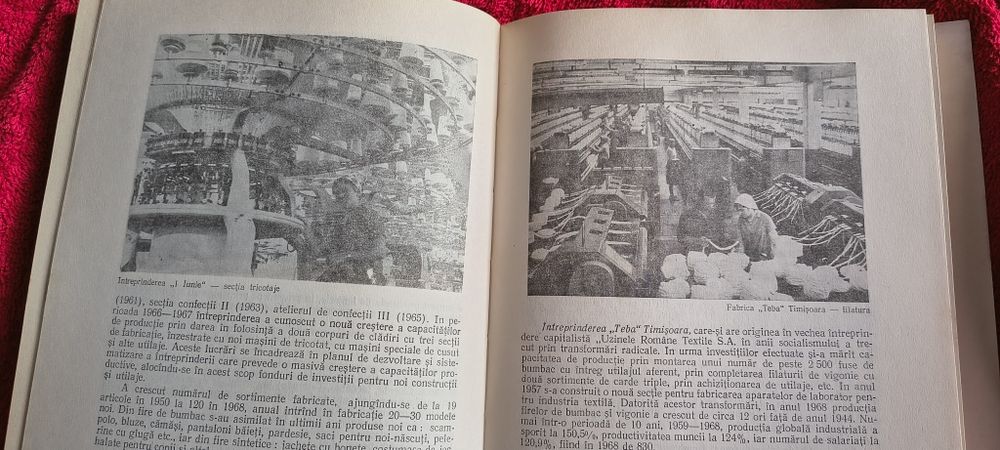 TIMISOARA 700- pagini din trecut și azi