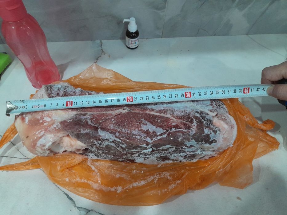 Жілік соғуға жылқының