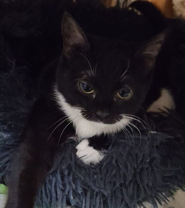 Симпатишная девчуля