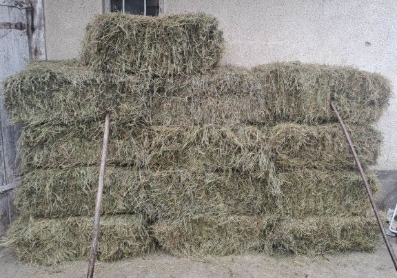 Vand fan (baloti si pe claie)