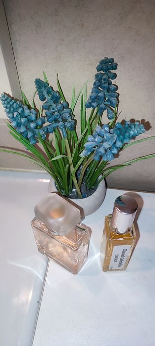 Chanel Gabrielle essense