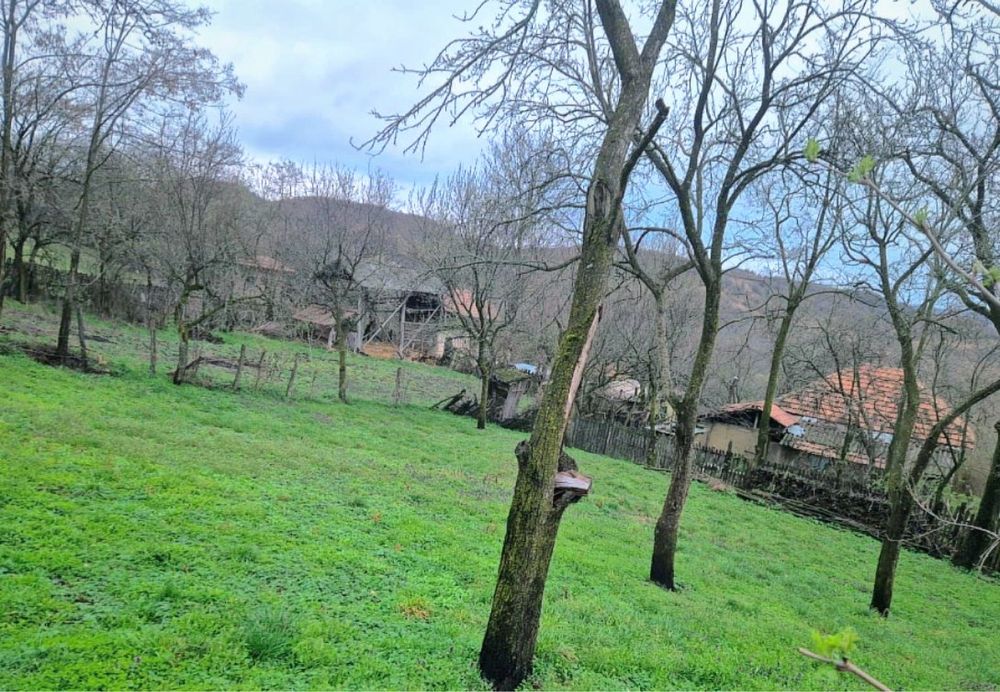 Vand Casa Traditionala