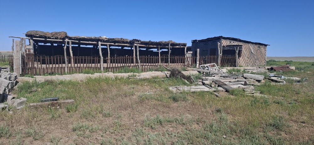 Продам фазенду 20 км от уштобе