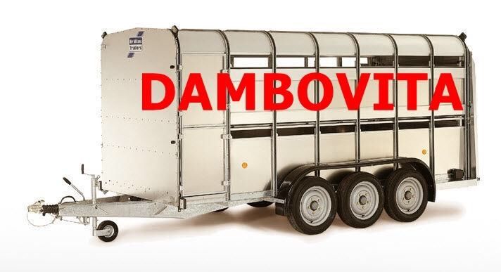 Transport animale vii 100% autorizat