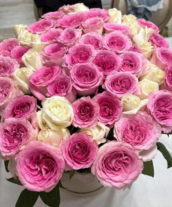 Роза 61  70см хороший состояние