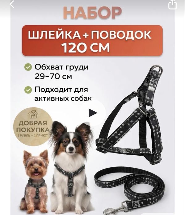 Продам шлейку и поводок