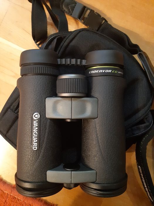 Бинокль Vanguard Endeavour ED 10×42