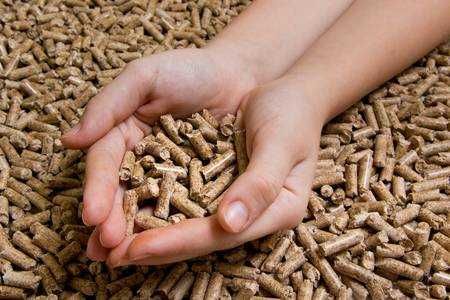 Иглолистни пелети, без примеси и отпадъци, само от бял бор, клас А1