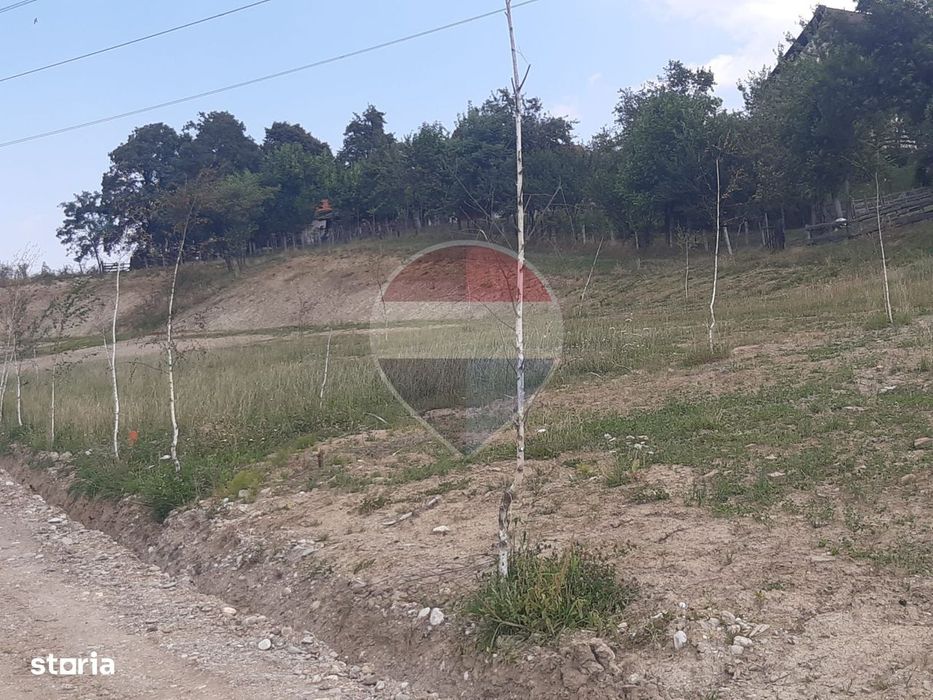Teren 1,000mp Sohodol, cu utilitati / Strada Sohodol