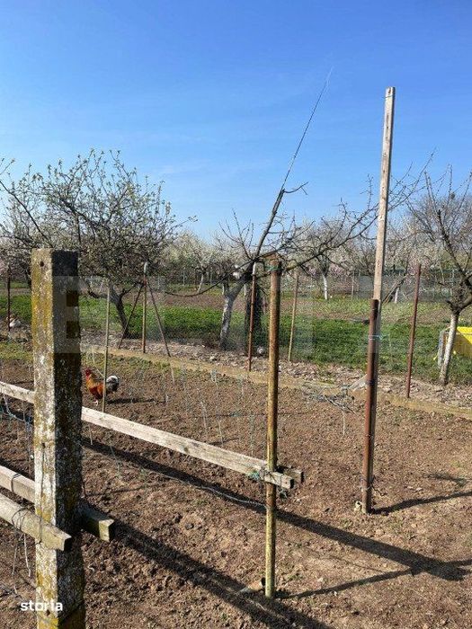 Teren de vanzare 1850 mp front de 21, Sanandrei!