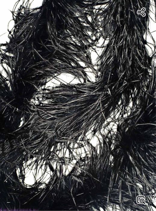 Веер из перьев