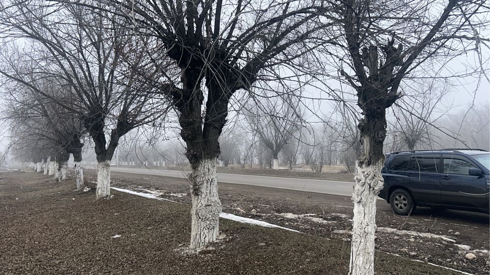 Коммерциялық 2 жер сатылымда!!!