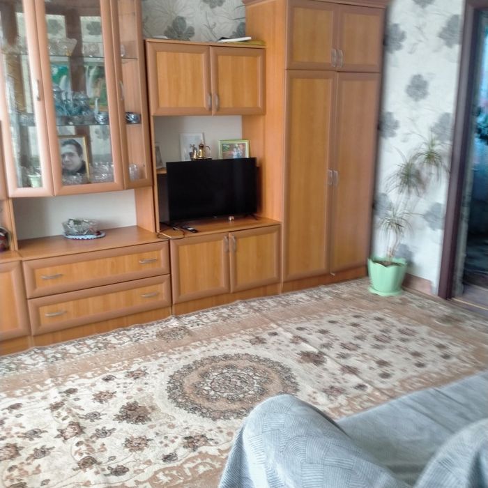 Продам дом  село Петровка