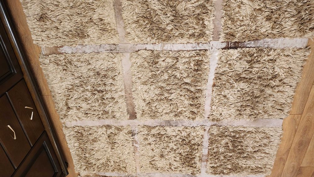 Оригинален немски килим LALEE