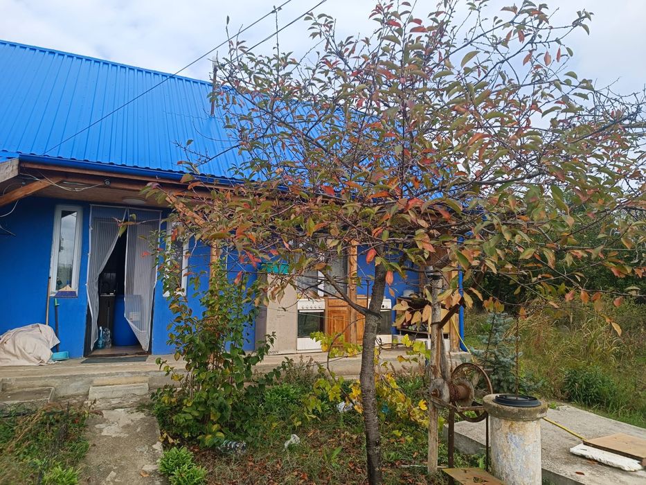 Casă la curte in Jud. Giurgiu