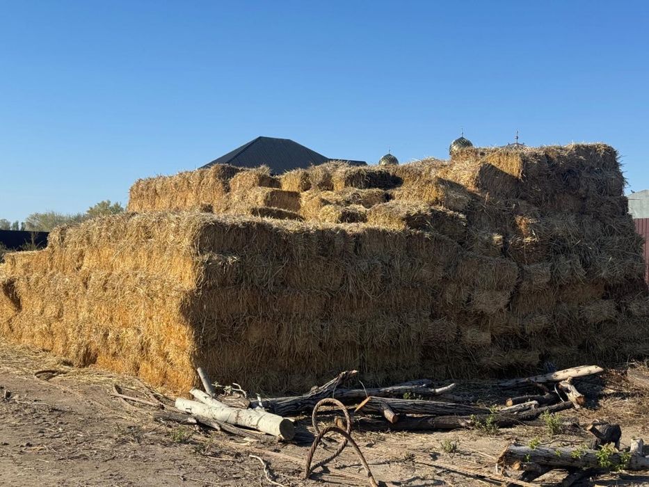 Шөп сатылады 300 тг ден