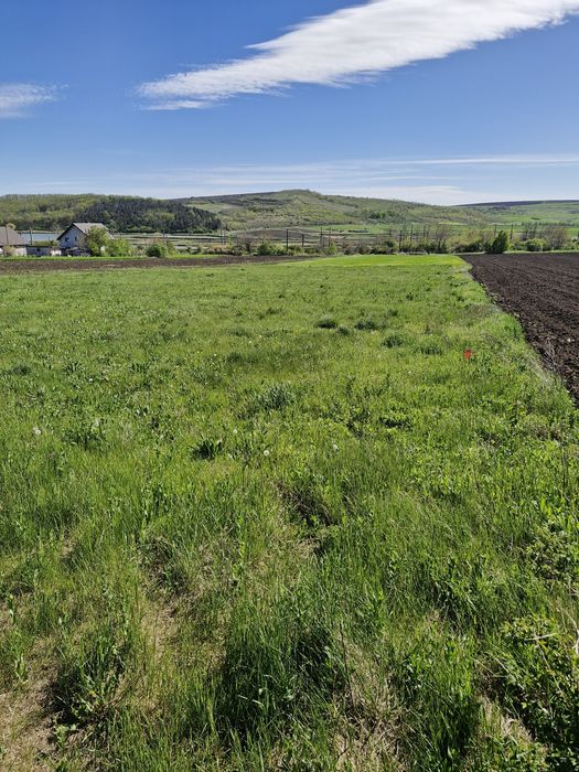 Teren intravilan Podu Iloaiei - Vedere 4