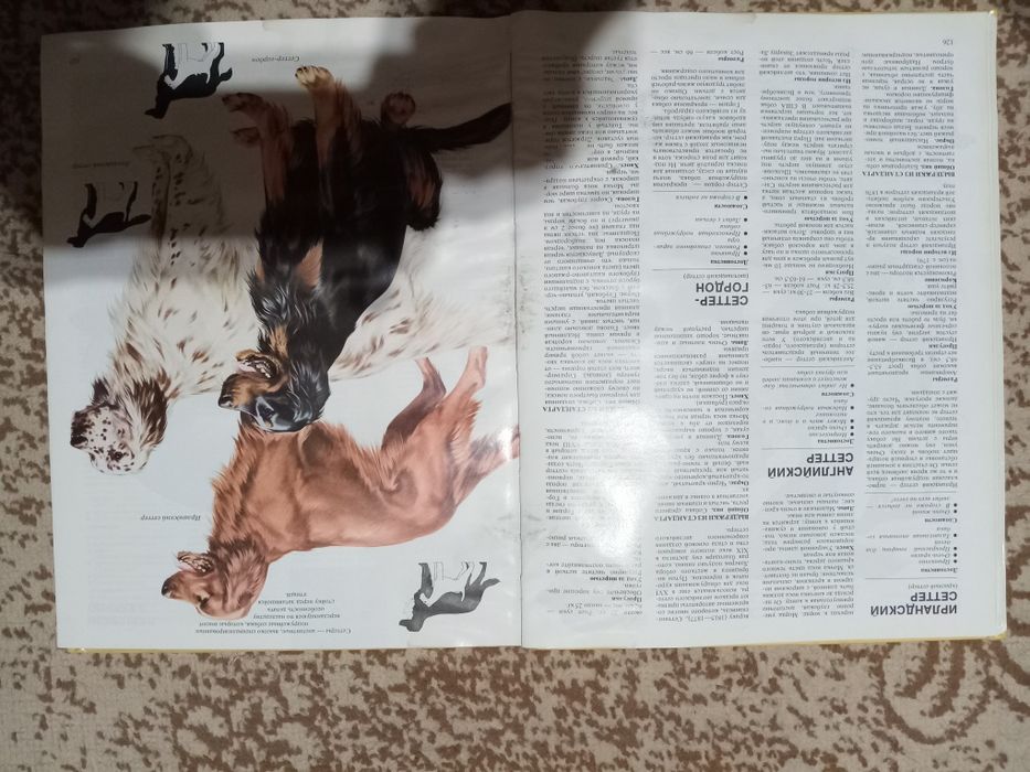 Книга"Ваша Собака"