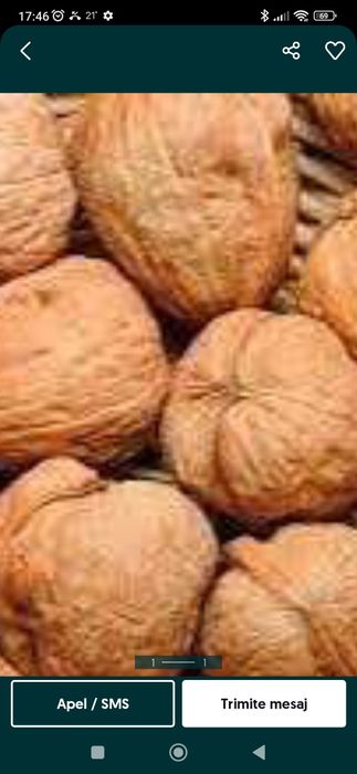 Nuci în coajă verzi cu miez de nucă verdedeosebit de mare