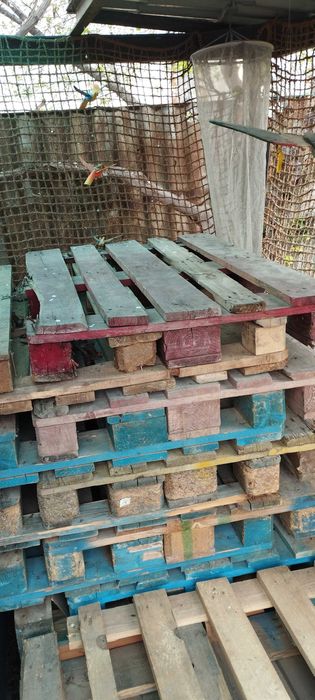 Продам паллеты недорого