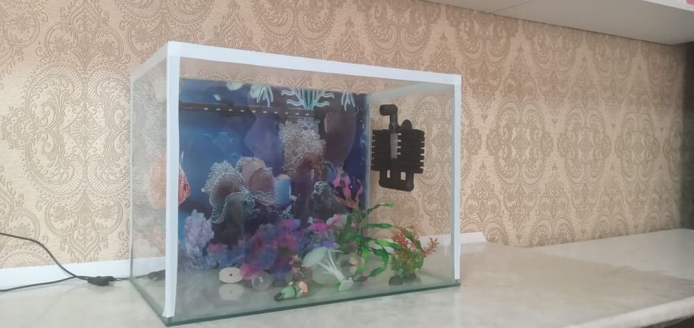 Продам аквариум в комплекте