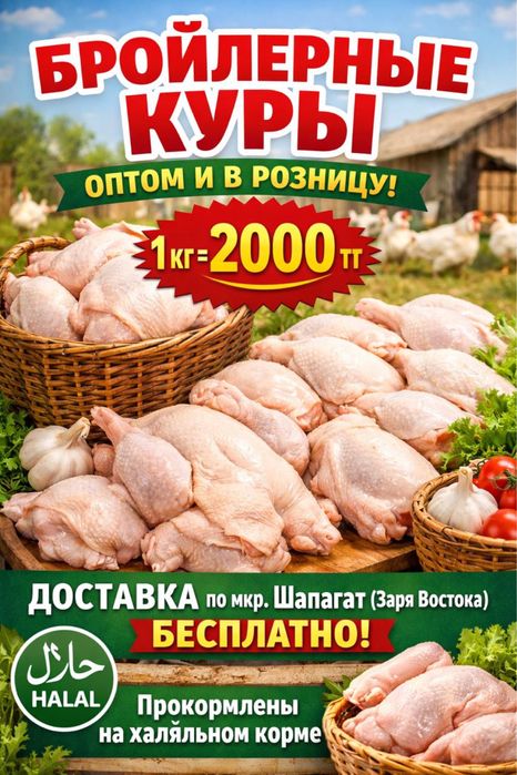 Бройлерные куры, окорочка, бройлеры