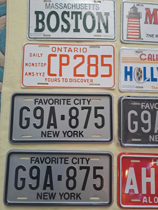 placute numere inmatriculare auto sua