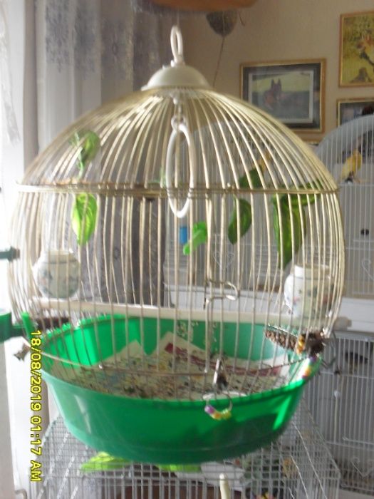 клетки для декоративных птиц