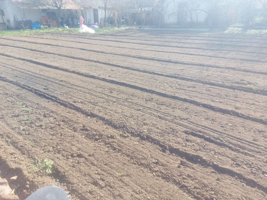 Услуги с  малък трактор