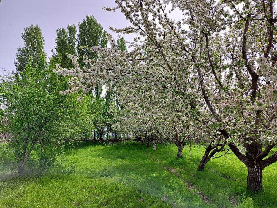 yer sotiladi Zangiota tumani Zangiota ziyoratgohi togrisi