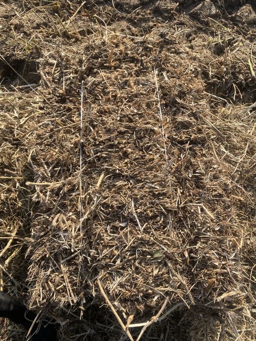 Солома соевая ( сабан )