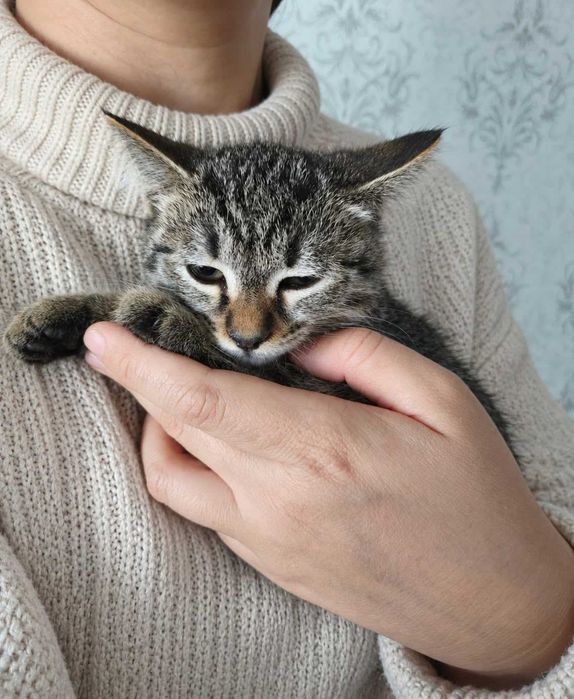 Малышка 3 мес ищет дом