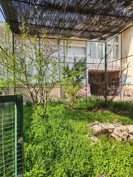 Qushlar uchun kotta Qafas sotiladi, продаётся клетка для птиц.