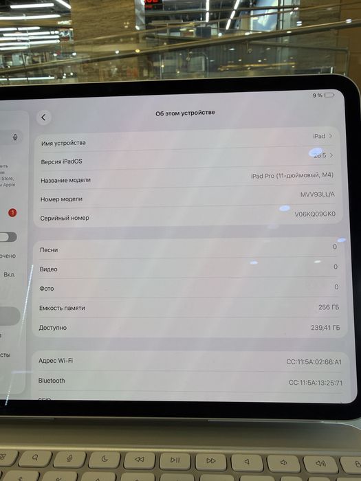 Ipad pro m4 256/8