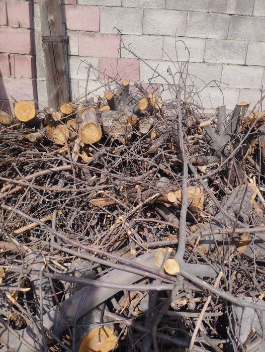 Дрова бесплатно самовывоз