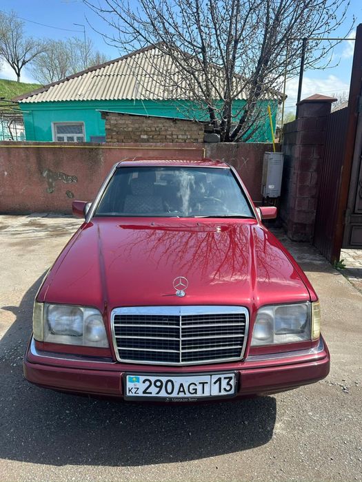 Кастаправ мольяр