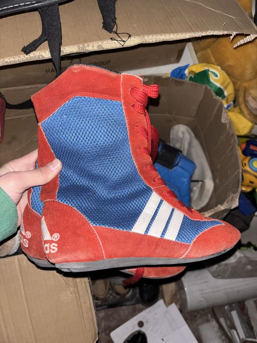 Боксер жаза берындер торг бар.