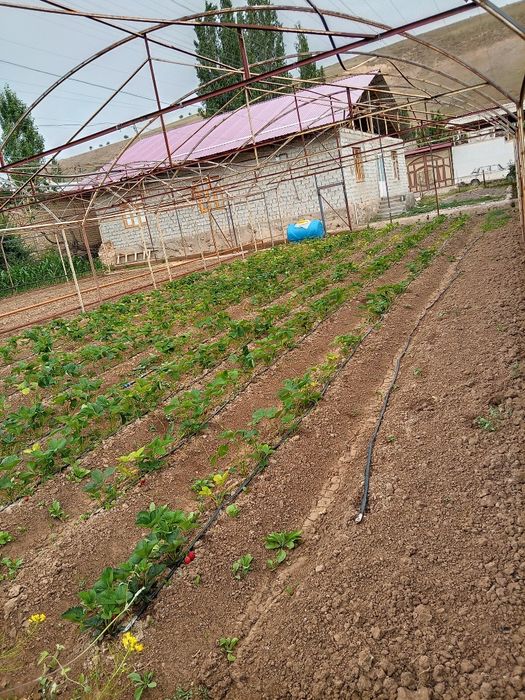 Bo'stonliq tumani Uchastka 10 sotx dumaloq qishloği gazalkentga qoʻwni