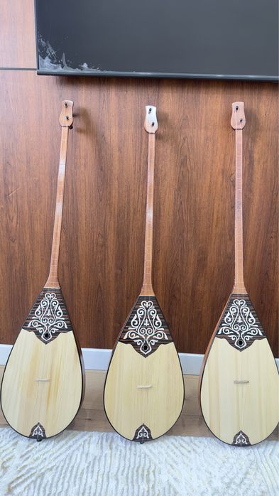 Домбыра чехолымен