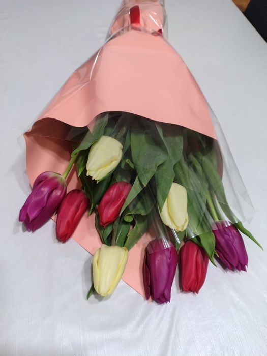 Тюльпаны красивые