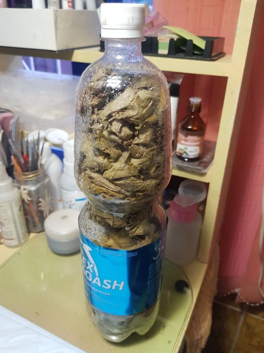 Виноградные листья