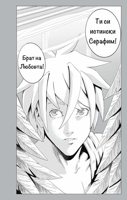 Манга Земен Ангел том 5