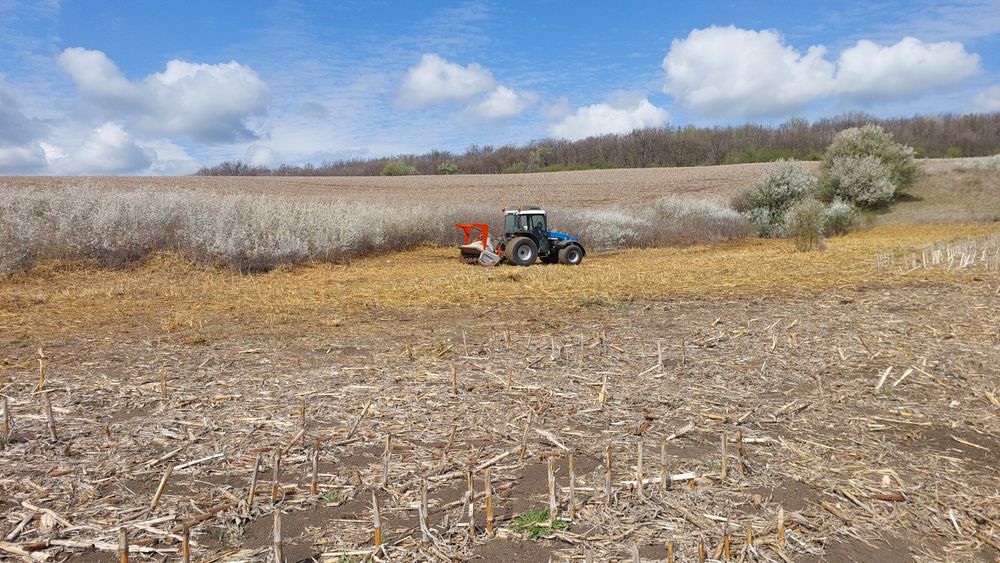 Curatare pasuni,terenuri,defrisare