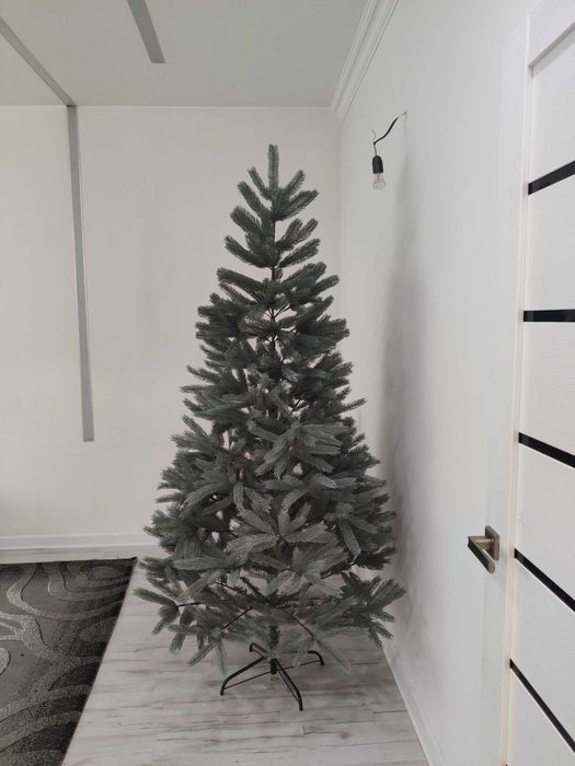 Новогодняя голубая ель