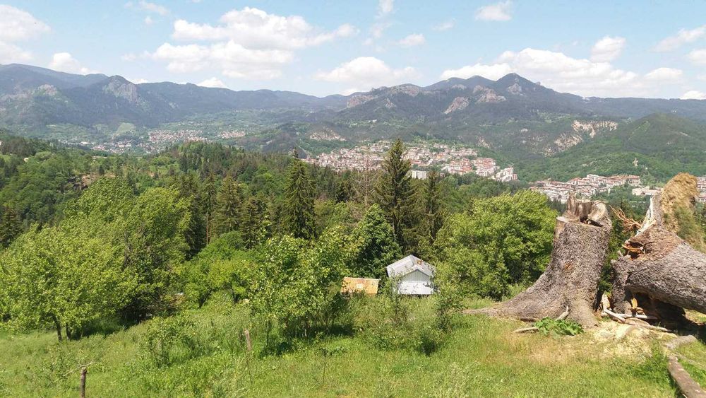 Продава се Земеделски имот в с. Петково, Област Смолян -  кв.м за 10 €/дка - Снимка #2